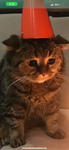 Click here to play games :)
