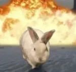 bunny lawgs Group Thumbnail