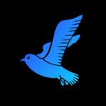 Blue-Birds