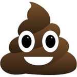 Poopy head head