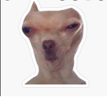 Corgiboi And Friends Studios
