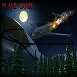 Plane Crash Scare
