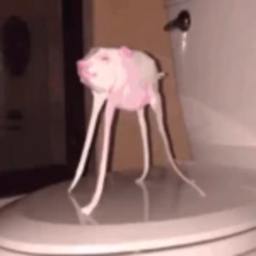 Pig Clicker!