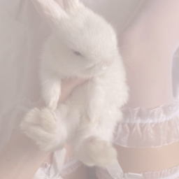 ୨ৎ