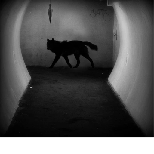 SCP-023 Demonstration 