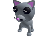 Cat Pet