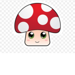 Our mushrooms