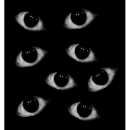 I SEE ALL
