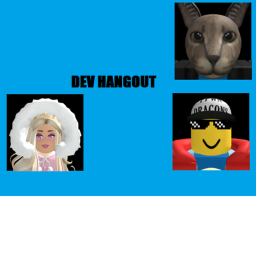 Developer hangout