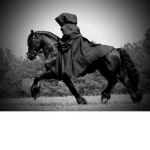 +~Black Knight Riding Academy~+