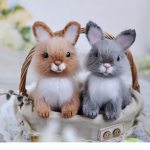 Bunny love group please join :)
