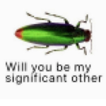 A N I M E HEHE