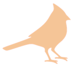 CardinalCreations