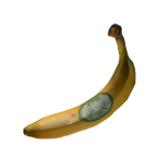 NinjaStudio Banana [BACK]