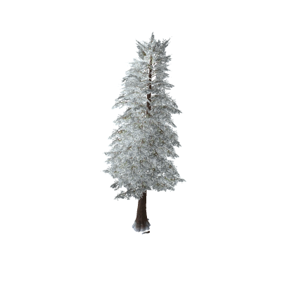 Snow Tree