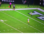Steelers football fans