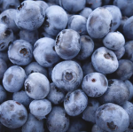 Blueberry-studios