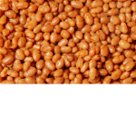 WE SUPPORT BEANS