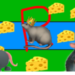The Rat Country