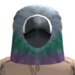 coco noa andy