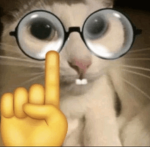 Gato Dev