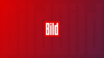 Bild Gruppe