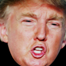 trump obby
