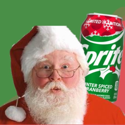 CART RIDE INTO SANTA