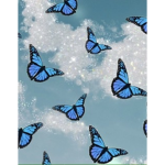 The Blue Butterfly Aesthetic Clothing Group