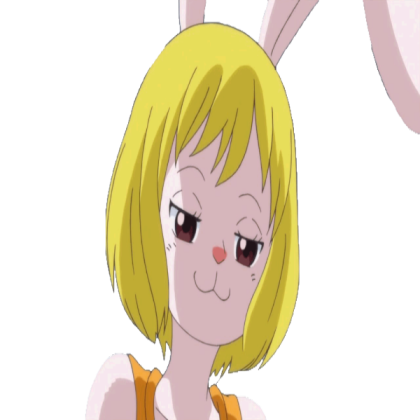 Carrot One Piece Roblox decal