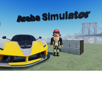 Araba Simulator