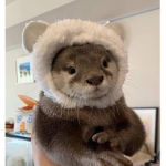 Utter vänner :3