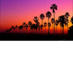 The West Coast Hígados [WCH]
