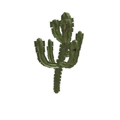 Cactus 1