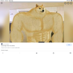 Doge yo yo yo I’m from Francisco