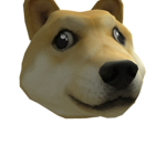 Shiba in you