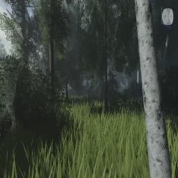 Forest Adventure icon