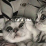 XKIIZARU TEAM