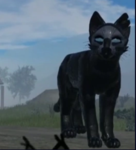 WCUE NPC Hunting Club!