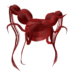Hydra