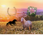 Lilly riding