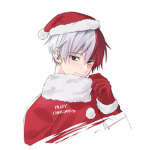 Jaxon_christmas_group