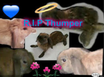 ~My~Family~