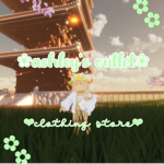 -ashley's outlet-