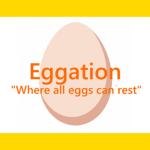 Eggation