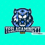 TeslaGamingYT Squad