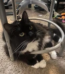 Mochi Fan club <3 Group Thumbnail