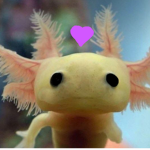 thehappy_Axolotls
