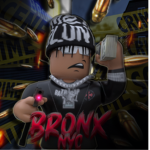 Nyc: BronxDistrict