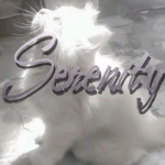 SerenityStudio